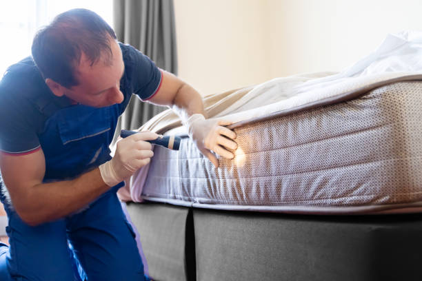 Best Bed Bug Extermination  in Oak Grove, AL